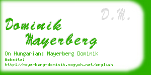 dominik mayerberg business card